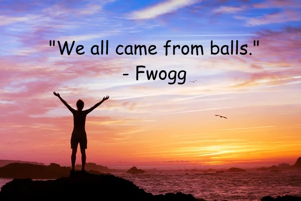 Fwogg tweet media