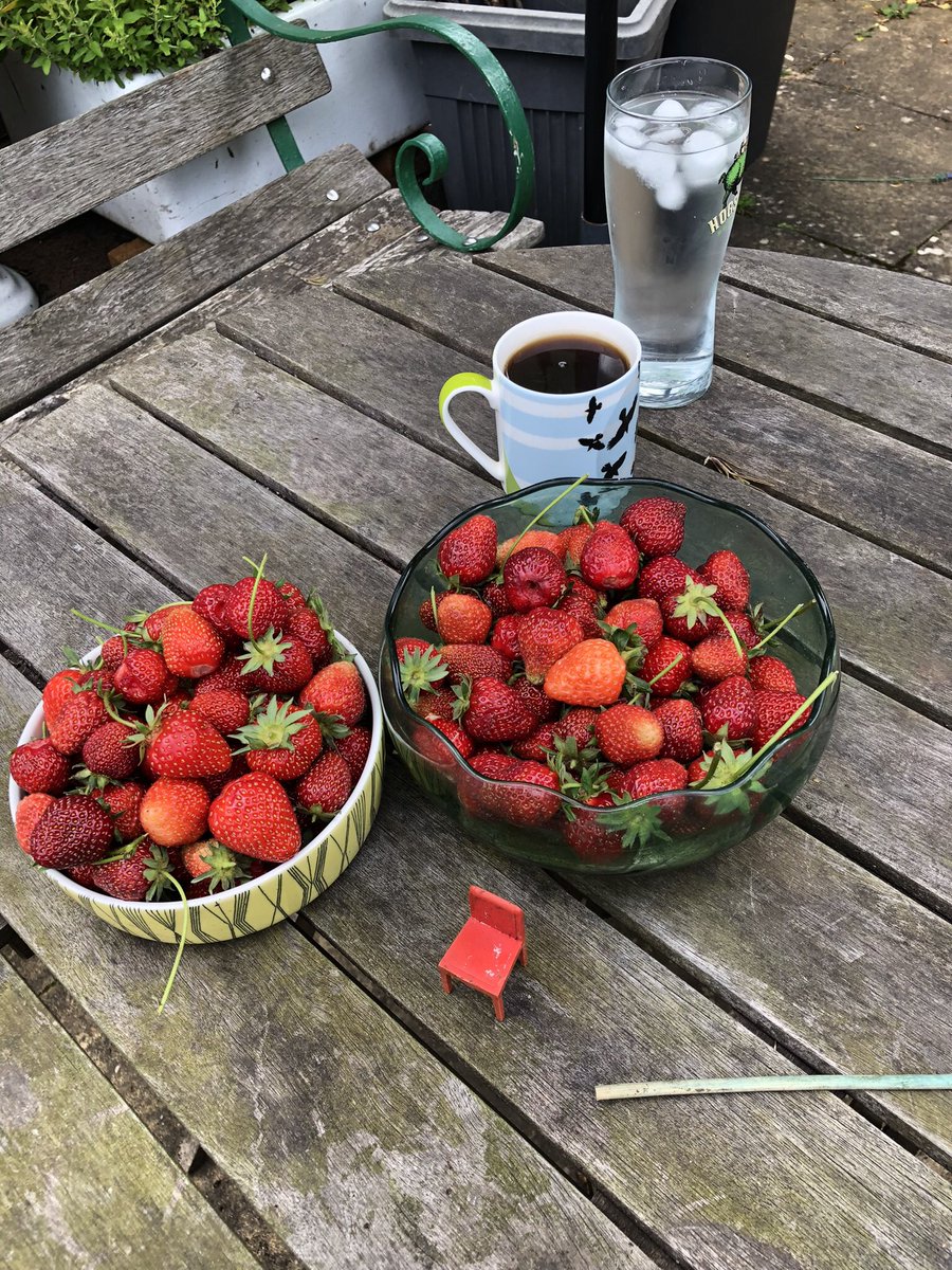 Carole Miles tweet media