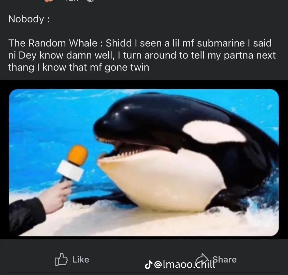 Alisha 🌙 tweet media