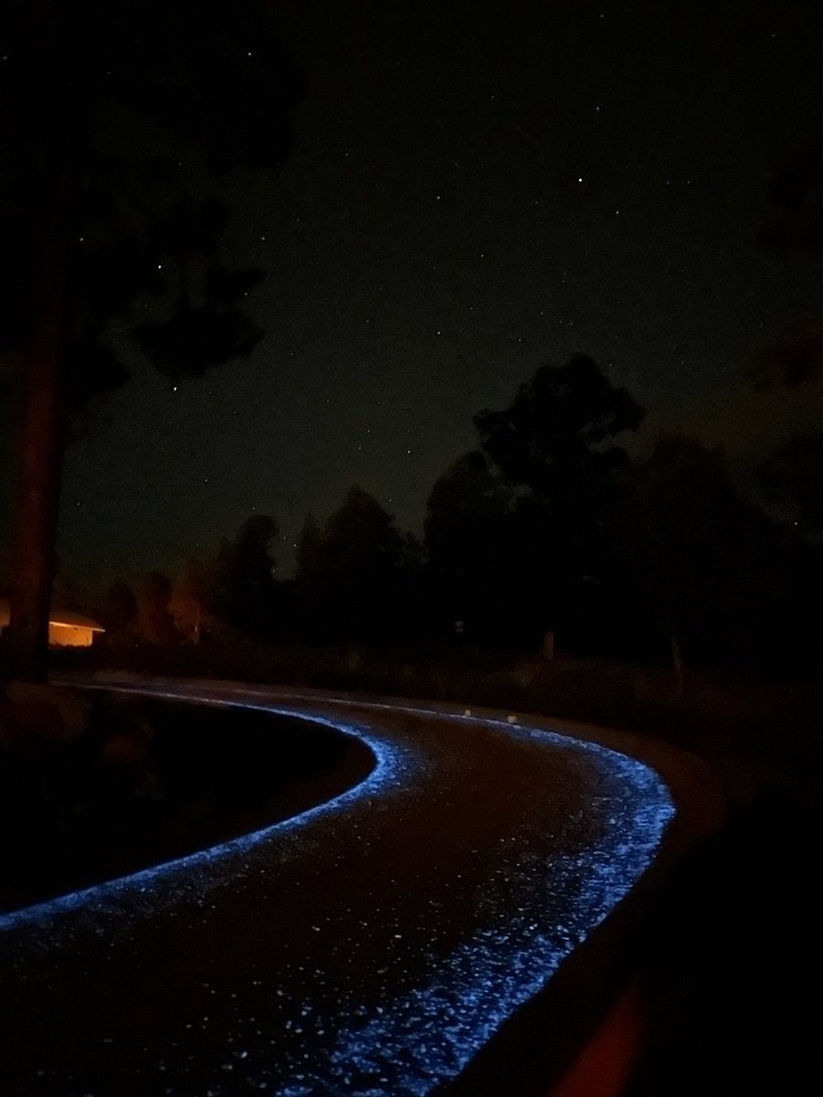 Visit to the Lowell Observatory yesterday as part of the ACM 2023. Pluto was discovered here about a century ago by Clyde Tombaugh. Amazing skies !!