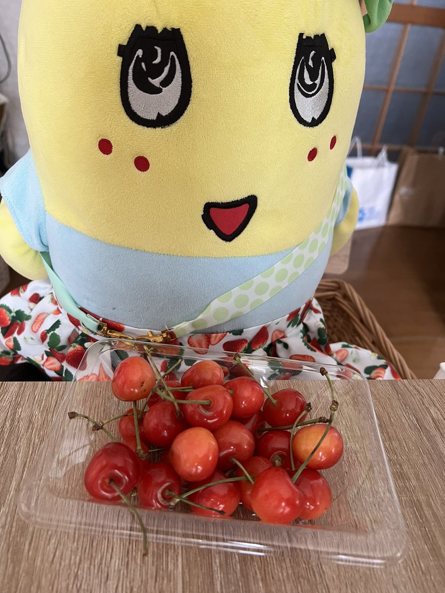 nasikoyy's tweet photo. さくらんぼもらったナッシ🍒

山形あるある☺️ https://t.co/itNLMAQpun