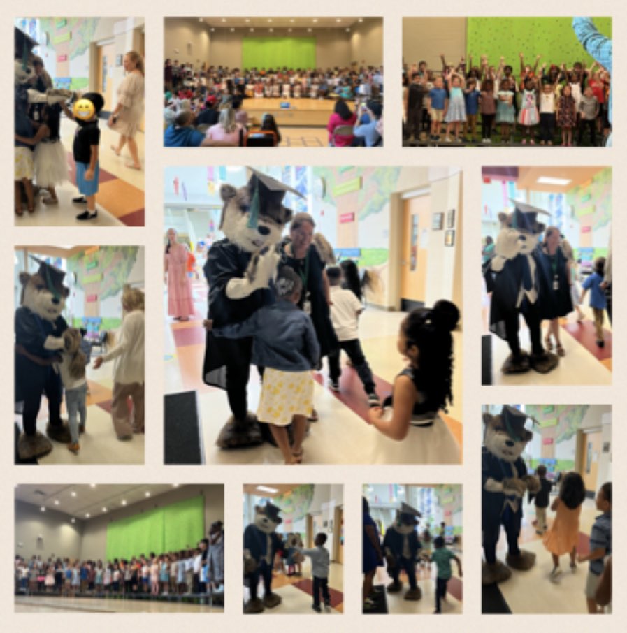 Carla Baptista Tavares tweet media