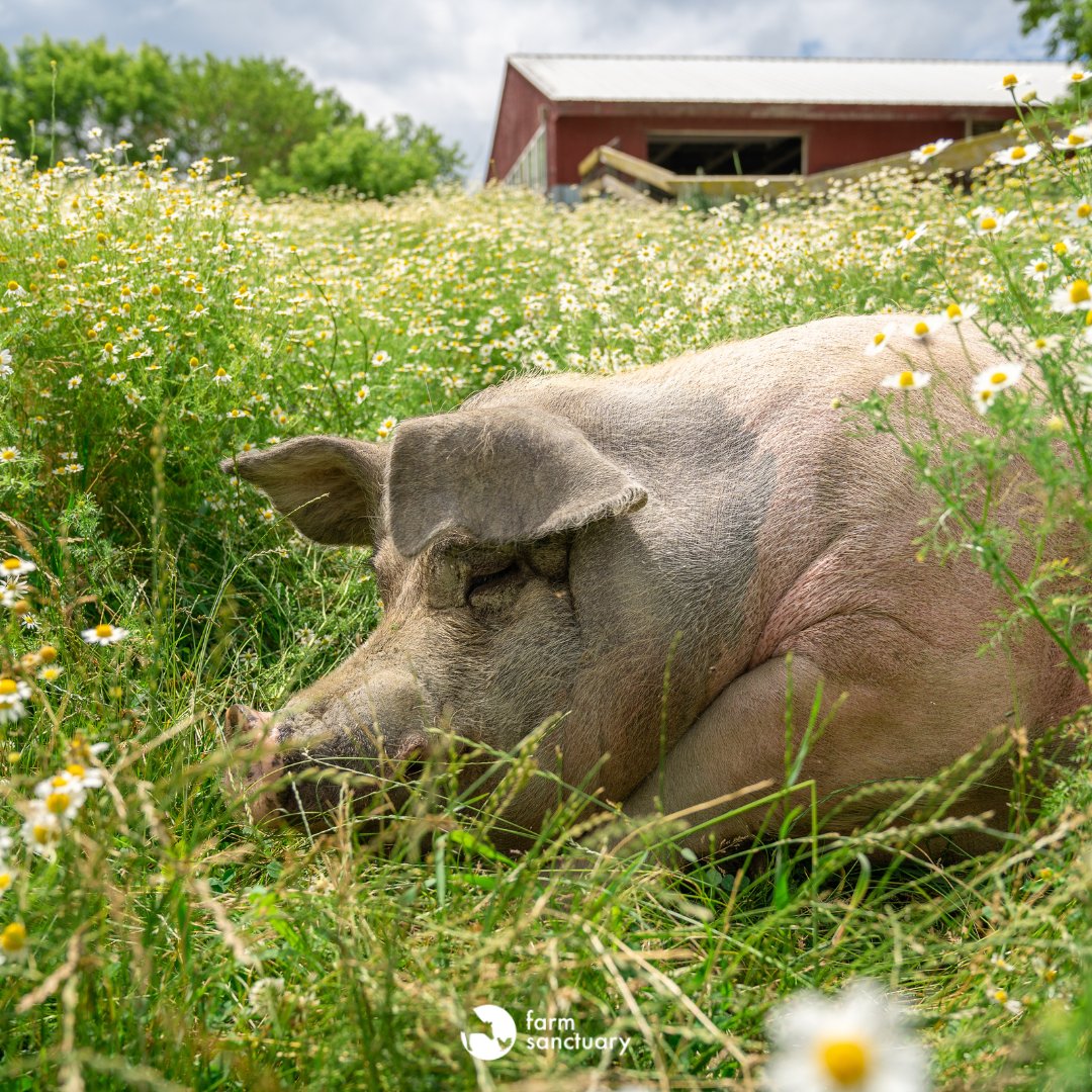 Happy summer solstice — it's time to soak up the sun!

Here's to happy, warm, and carefree days. 💚 ☀️