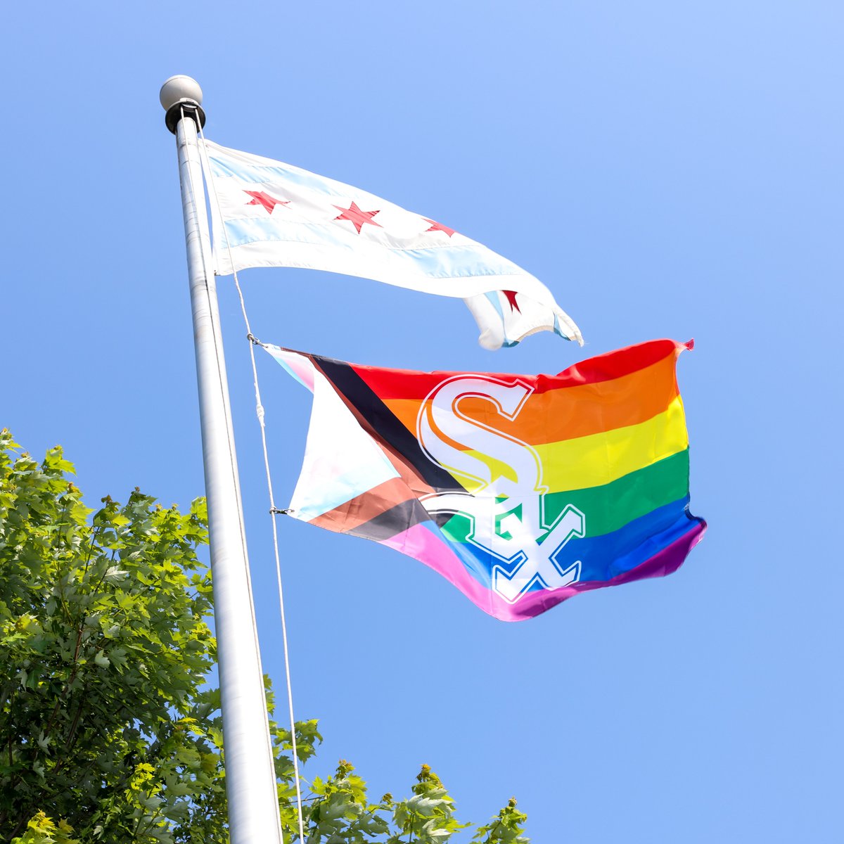 whitesox's tweet image. Baseball is for everyone. 🏳️‍🌈