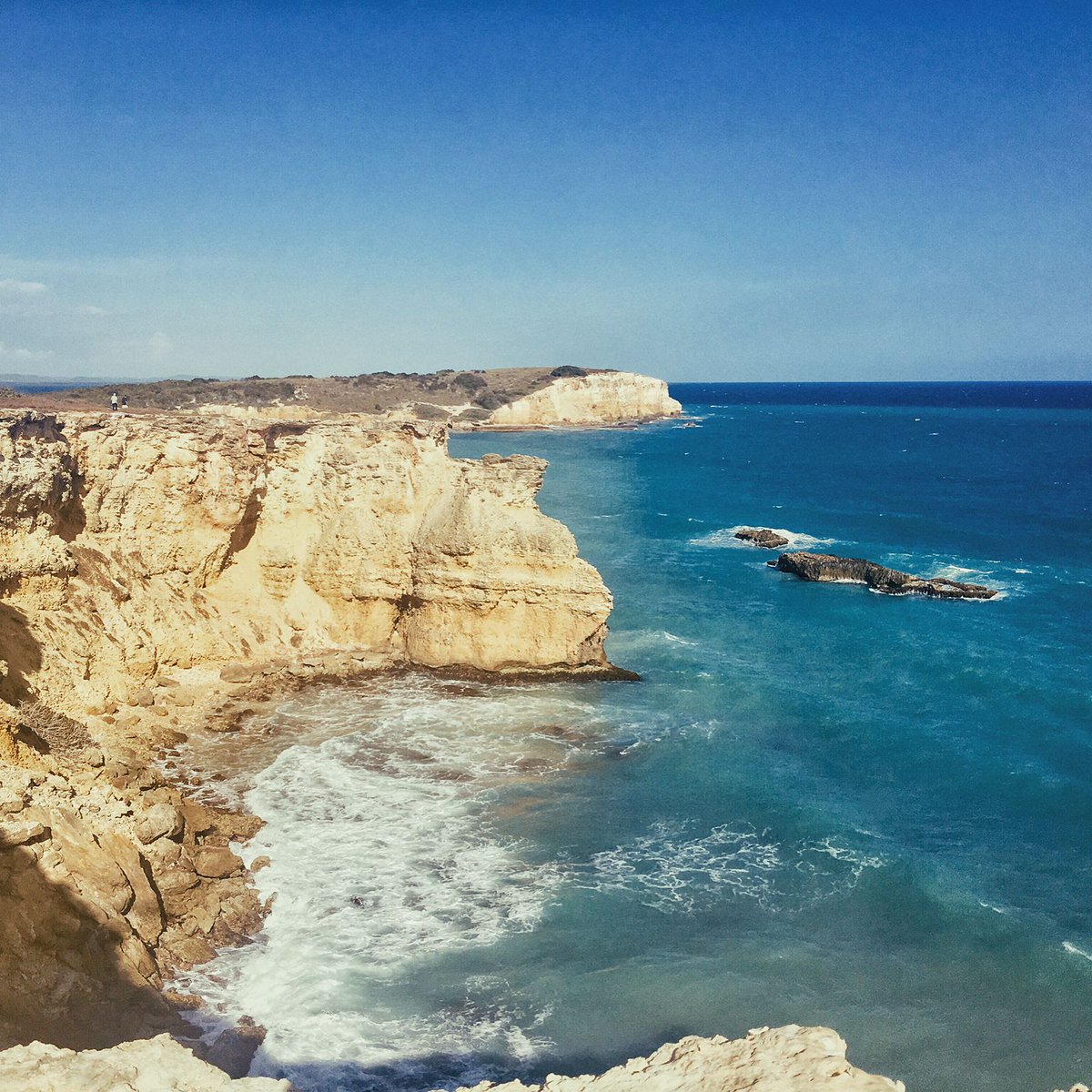 LiangYi13210592 tweet picture