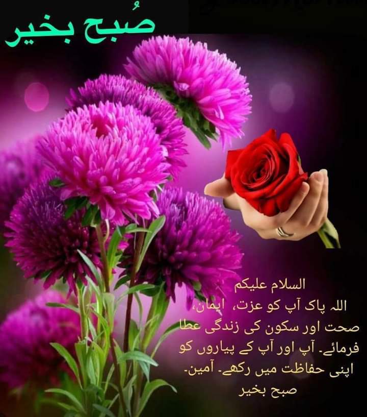 javeedsooz's tweet photo. @Arzoo_safi8 https://t.co/UNWGSe5Vrg