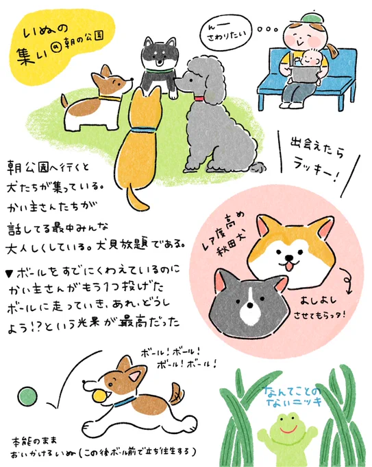 昨日ついに…秋田犬くんをさわさわさせてもらいました🐕