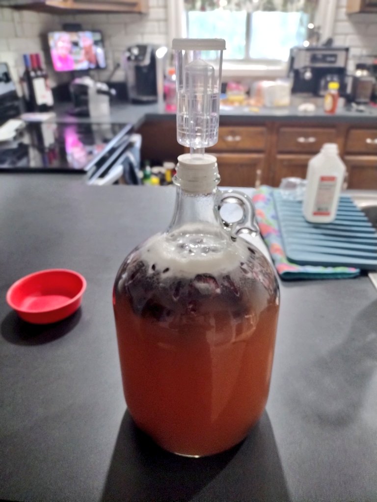 Being the #summer #solstice I decided to make some Greater Dragonsblood #Mead. It should push a bit higher than 18% and the #cherries sawshould compliment the sweetness.