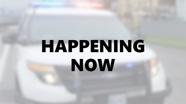 Tacoma Police Department tweet media