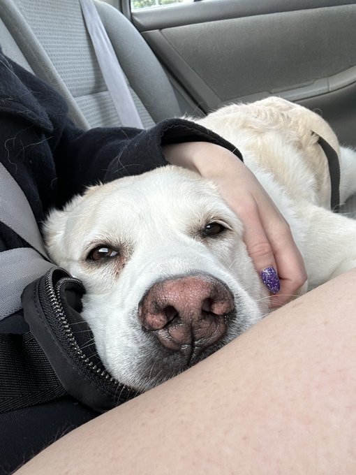 @albert12798 Obviously my dog https://t.co/61W9BeLxIP<a class="tags" target="_blank" title="On Twitter" href="/?out=eyJ0eXAiOiJKV1QiLCJhbGciOiJIUzUxMiJ9.eyJpYXQiOjE3MjA4NTY2NDksImlzcyI6InR3cG9ybnN0YXJzLmNvbSIsIm5iZiI6MTcyMDg1NjY0OSwiZXhwIjoxNzUyMzkyNjQ5LCJyZWRpcmVjdF91cmwiOiJodHRwczovL3R3aXR0ZXIuY29tL2FsYmVydDEyNzk4In0.yjX326sDJfVCdBv2NVFE2xLF_Z0IA45BUWeUt4yoeXNM8ThRP95C191HDN7WwXoqQXz0iAjlh9JyFkjiW4MI0g">@albert12798</a>