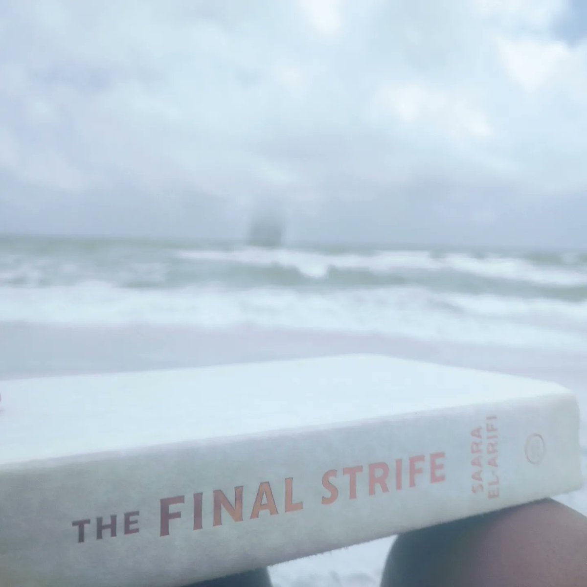 Currently reading:
#TheFinalStrife #TheFirstBrightThing and #andshallmachinessurrender