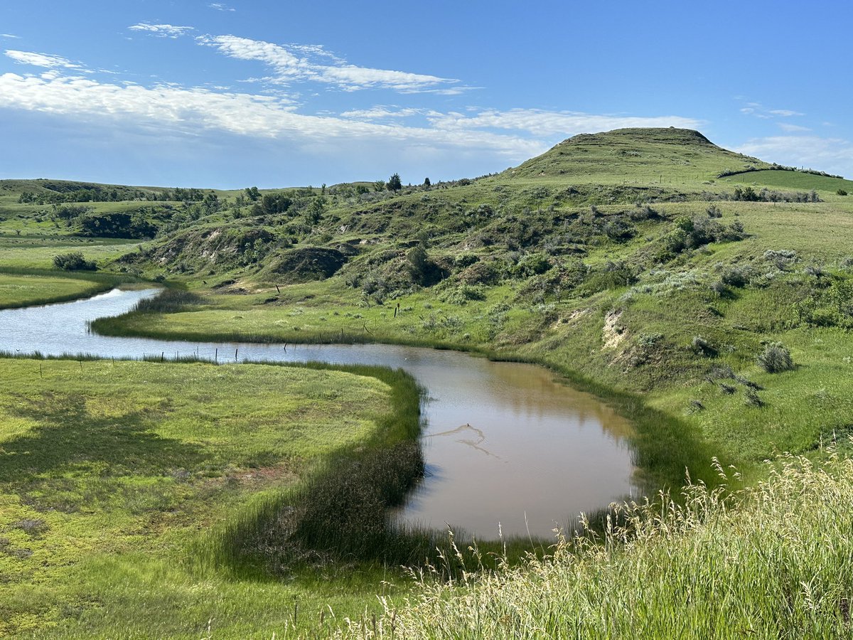 sbperimeter's tweet photo. Day 80: Richey, MT to Watford City,ND - 97 miles.  Cool weather all day as I crossed from Montana into North Dakota.  (Low 60s) Rerouting a more southerly direction thru North Dakota.  Rolling hills most of the day, but seeing some buttes as I crossed into North Dakota. https://t.co/K6lFbSrW5D