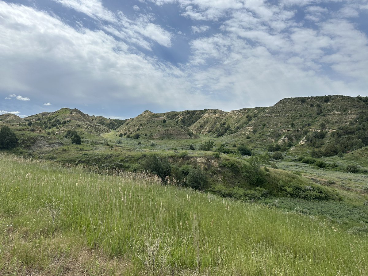 sbperimeter's tweet photo. Day 80: Richey, MT to Watford City,ND - 97 miles.  Cool weather all day as I crossed from Montana into North Dakota.  (Low 60s) Rerouting a more southerly direction thru North Dakota.  Rolling hills most of the day, but seeing some buttes as I crossed into North Dakota. https://t.co/K6lFbSrW5D