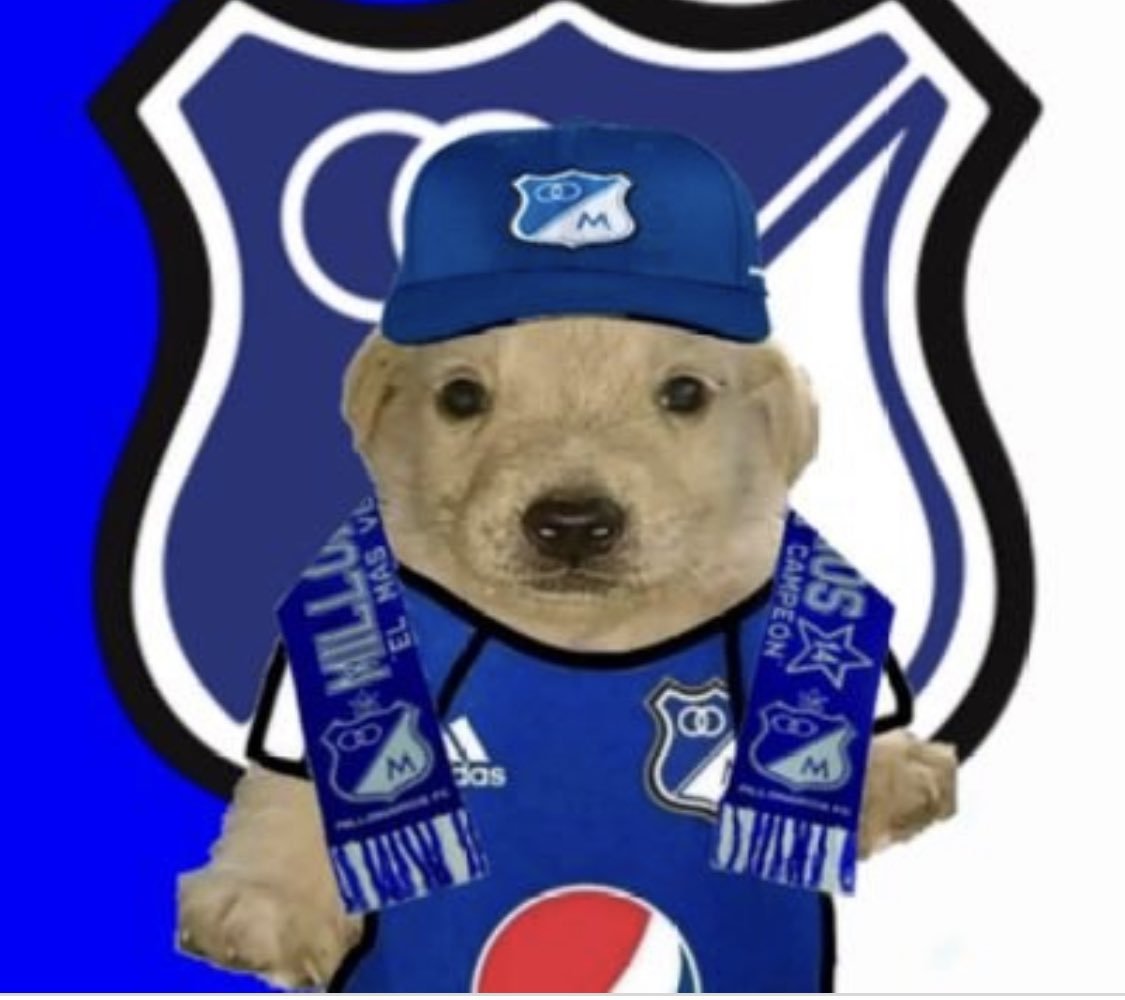 nacional_memes's tweet photo. Retweet si eres hincha de Millos https://t.co/RPtkej58Ep