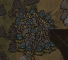 jayycier's tweet photo. bro wtf??? why are there so many tallbirds https://t.co/MUWUyaO9Rp