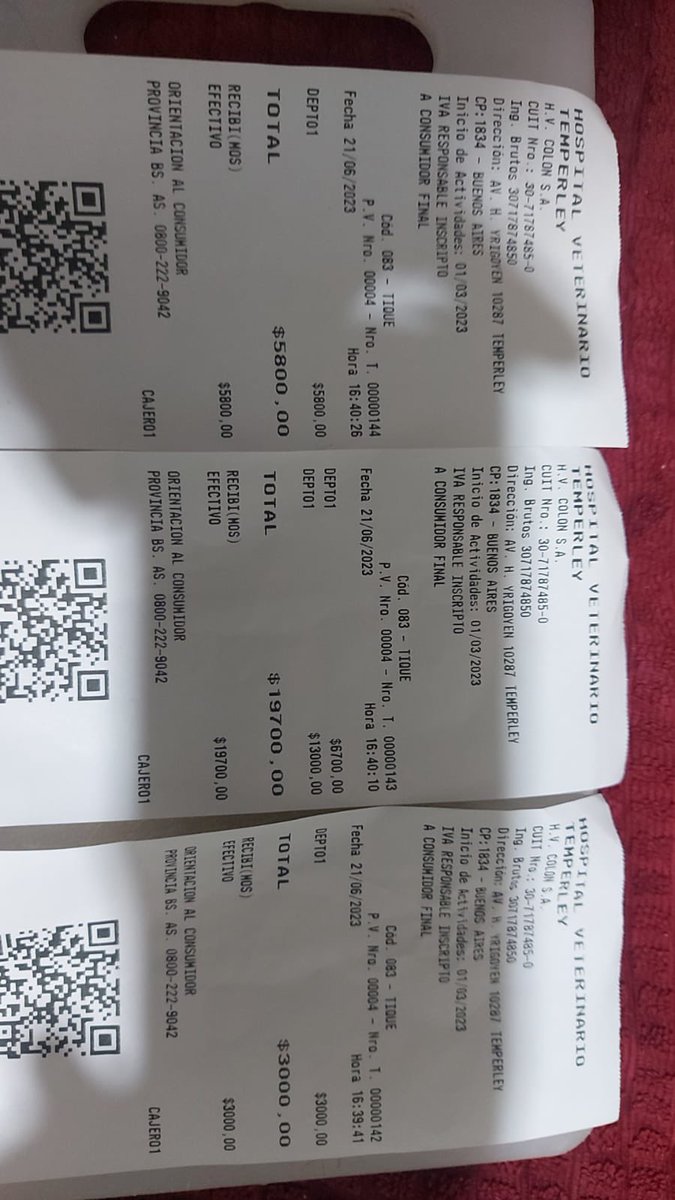MilyAguileraa's tweet photo. NECESITO DE SU AYUDA! Él es Casimiro, es un callejero alcual le damos todo el amor. Ayer quedó internado y tienen q seguir haciéndole estudios. Pero ya hubo gastos y no podemos llegar a cubrir todo. Si pueden ayudarme con algo😞🙏🏼
Alias: Signospetshop 
CVU: 0000003100033191754292 https://t.co/Sr7UaVrVIY