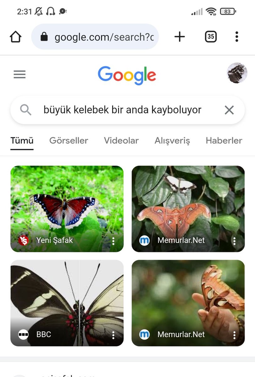 odama kelebek girince benim arastirmaci kimligin ortaya cikisi?