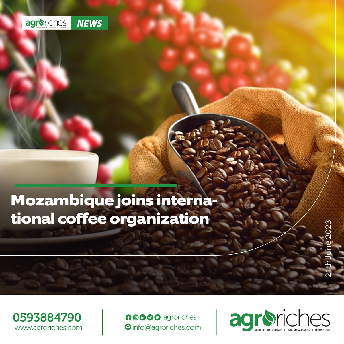 Mozambique joins international coffee organization

agroriches.com/mozambique-joi…

#research #agroriches #farm #agricuture #world #production #agriculturenews #news #quality #potato #farmers #news #coffee