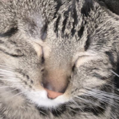 #NewProfilePic