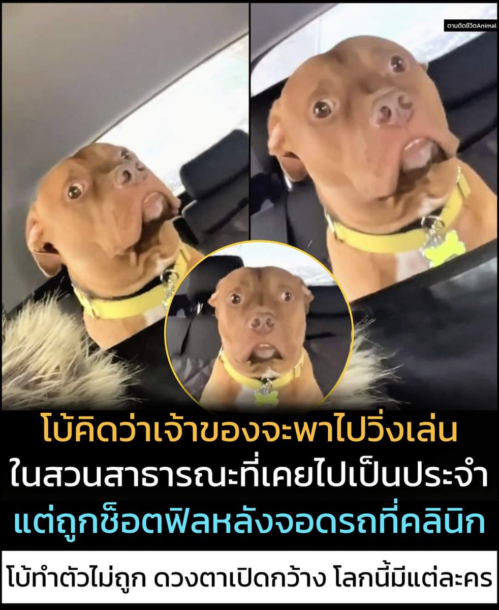 nu-an tweet media