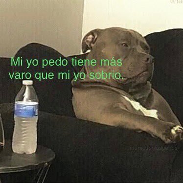 memesenlosgenes's tweet photo. https://t.co/uh4OCg20py