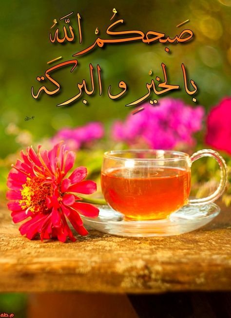 ابوبكر مترجم (@coolabuu271) on Twitter photo 