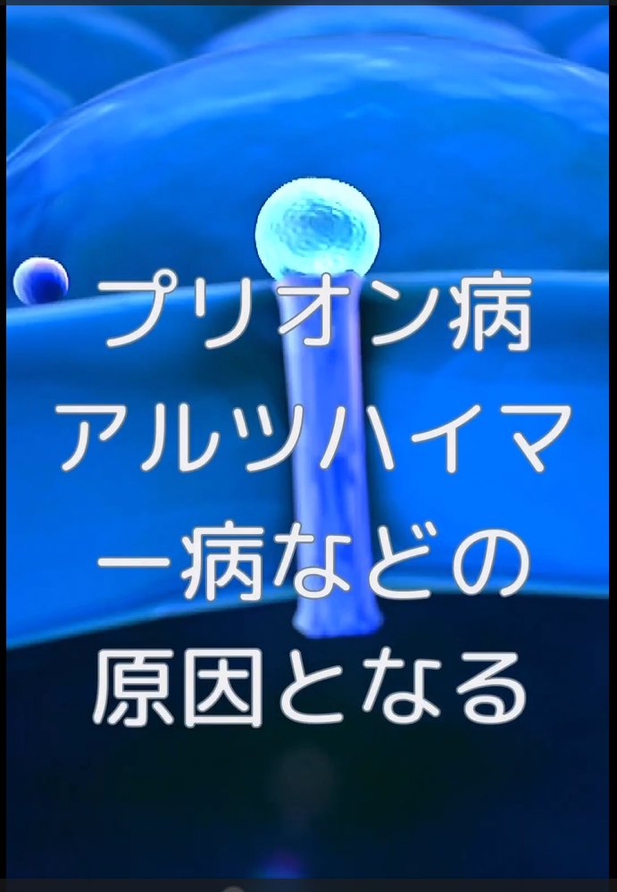 プリオン病
アルツハイマー病
などの原因となる
小胞体ストレスを与えます

#マスクによる健康被害
#マイクロプラスチック
#ナノプラスチック