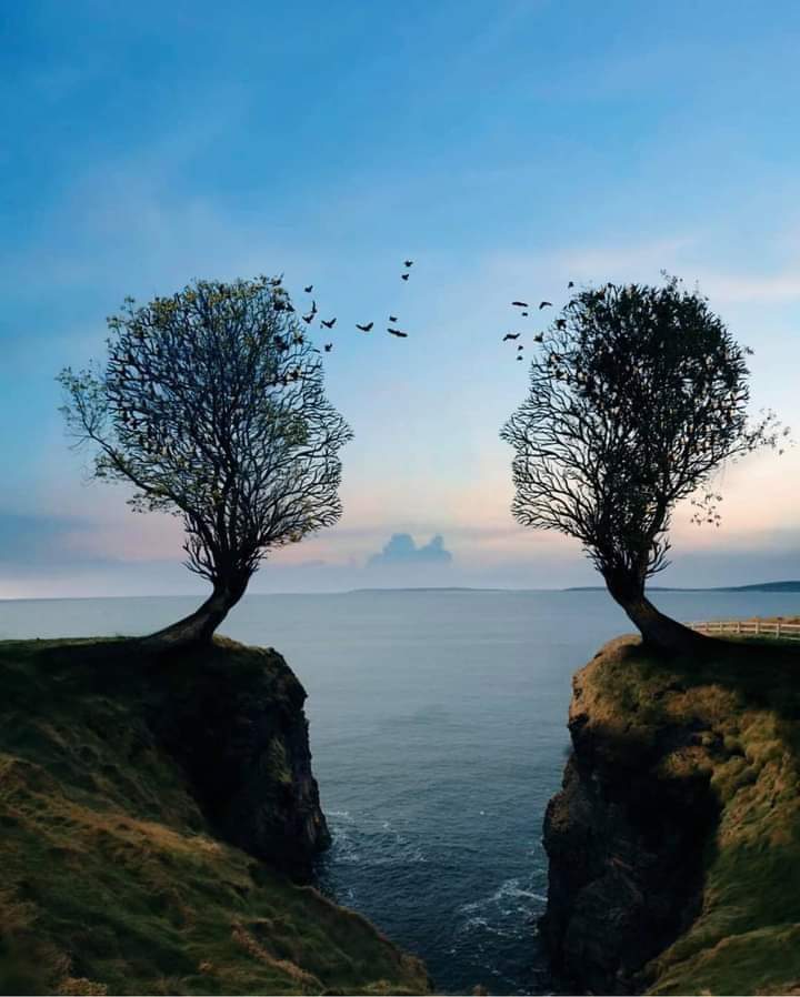 abouDjawad7's tweet image. Advice _ of _ the _ day... 🙏🏻💝 
God created souls to complement each other. Each soul gives from the source of its strength to the other, 
Don&apos;t look for the #similar,
 but for the #complement ❤️