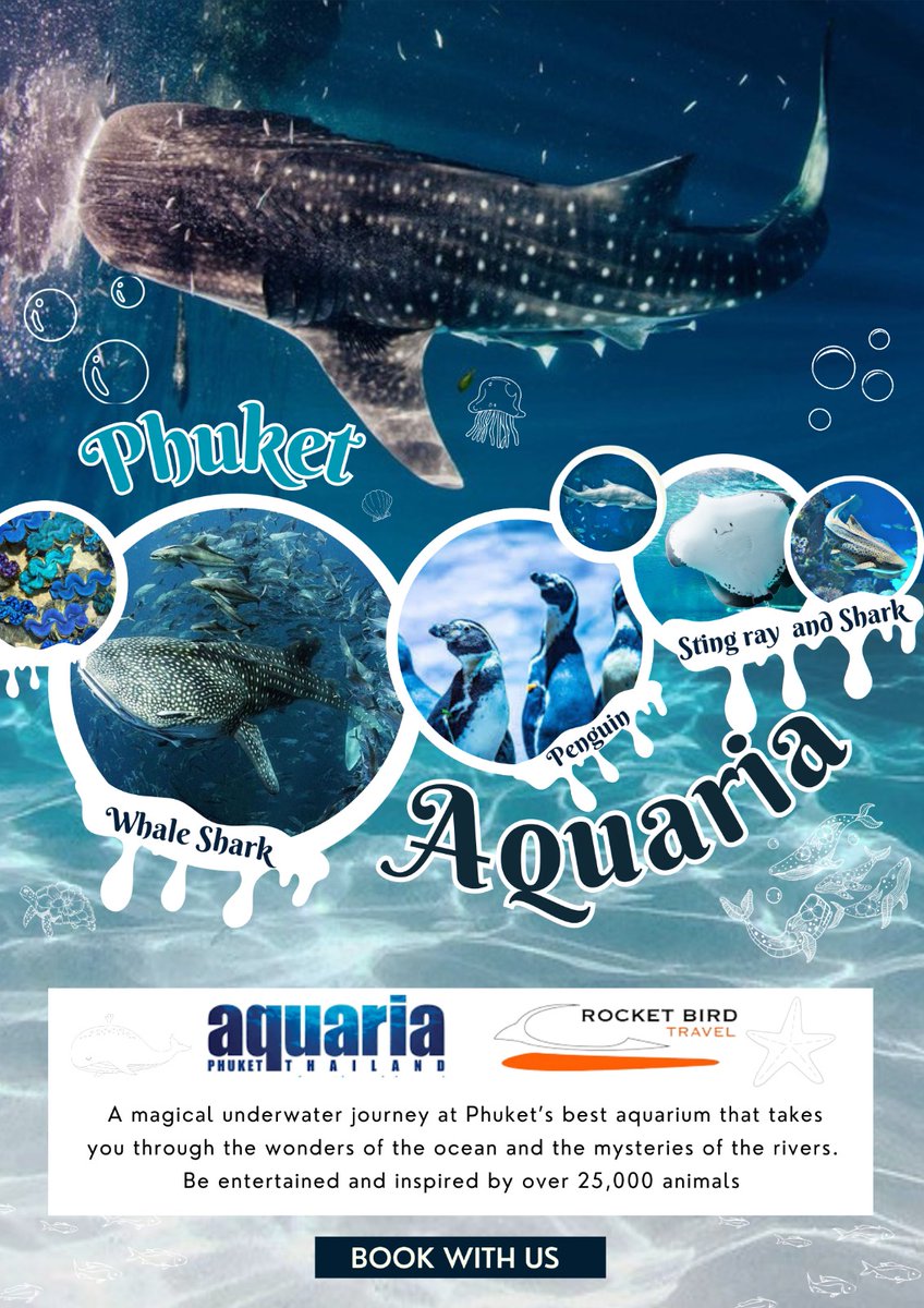 Explore Phuket Aquaria with us along with our exclusive promotional deal for Phuket & Krabi Combo destination.
#AmazingThailand #PhuketKrabiCombo #exclusivesummersale
#VIPServices
Enquire today for your upcoming Thailand Destination Group&FIT query #RocketBirdTravel #ThailandDMC