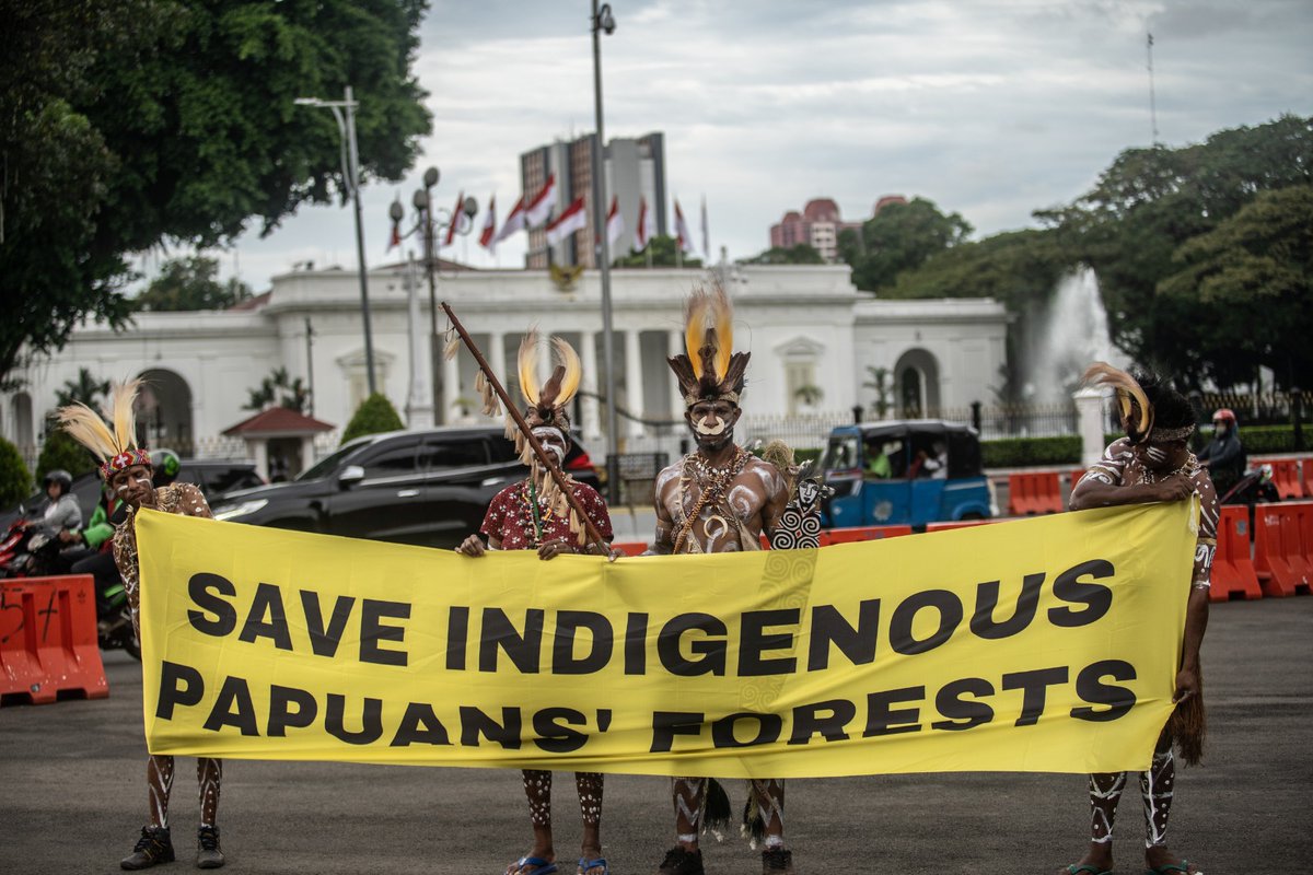 BentalaRakyat's tweet photo. Hutan dan biodiversitas yang ada di dalamnya tentu akan menjamin penyediaan sumber pangan bagi masyarakat dan mencegah kelaparan tersembunyi.

#SelamatkanHutanAdatPapua
#KamiMasyarakatAdat
#PembelaHAMLingkungan
#GugatanLingkunganHidup
#SelamatkanSukuAwyu
#StopDeforestasi https://t.co/hwmvk02DFJ