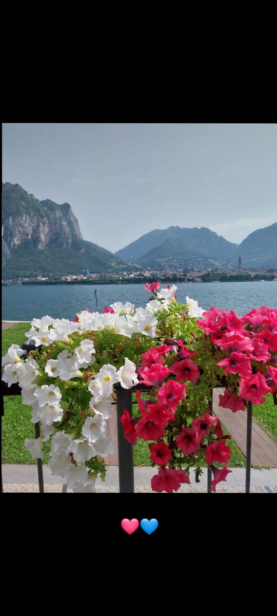 Buongiorno a tutti dalla mia Lecco 🌻🌻🌻