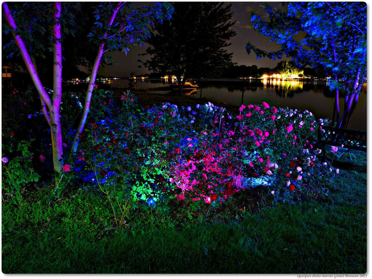 Gerald Brosseau tweet media