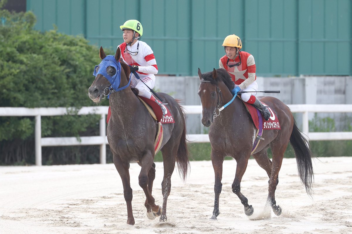 今日は #園田競馬場 にて、
スーパースプリントシリーズ2023
第13回園田FC（フレンドリーカップ）スプリントが行われます。
連覇中の高知ダノングッド、同レース3着→2着で今回こその高知ダノンジャスティス、地元メイプルグレイトなど。
17時55分発走予定です🏇
keiba.go.jp/raceseries/rac…

#SSS2023