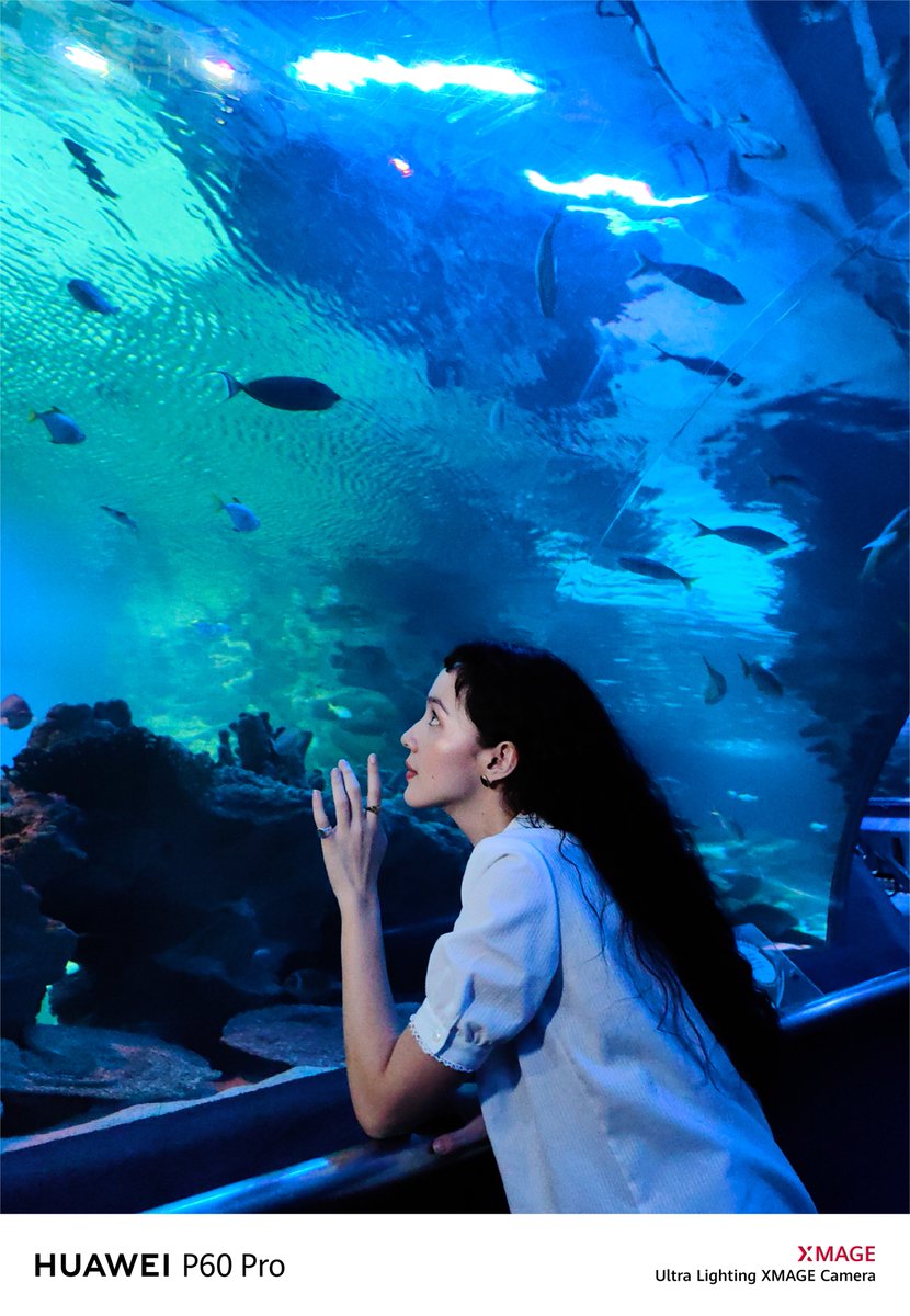 Malaysia Truly Asia on Twitter see why Aquaria KLCC is the top