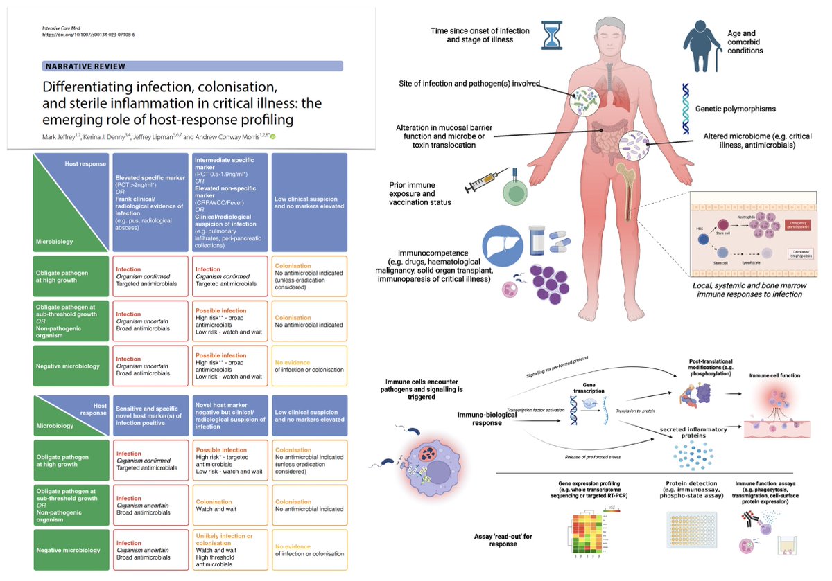 Intensive Care Medicine (@youricm) on Twitter photo Infection, colonisation, sterile inflammation in critical illness?
🧫 current approaches to distinguishing
🧫 host–pathogen interactions
🧫 techniques to characterise host response
🧫 challenges/limitations of host‑response diagnostics
#FOAMcc <a href="/yourICM/">Intensive Care Medicine</a>
🖇️rdcu.be/de6sw Infection, colonisation, sterile inflammation in critical illness?
🧫 current approaches to distinguishing
🧫 host–pathogen interactions
🧫 techniques to characterise host response
🧫 challenges/limitations of host‑response diagnostics
#FOAMcc <a href="/yourICM/">Intensive Care Medicine</a>
🖇️rdcu.be/de6sw