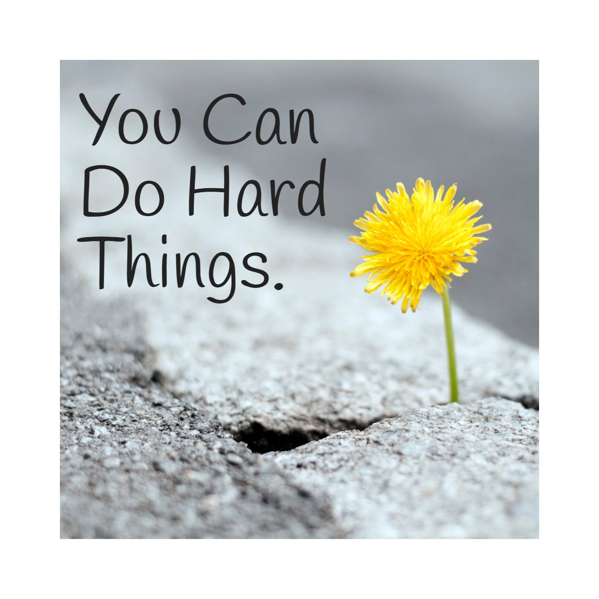 AndyLinss's tweet photo. Believe in yourself! 💫

#youcan    #motivepower    #believer    #inspirational https://t.co/RWimJuZNsQ