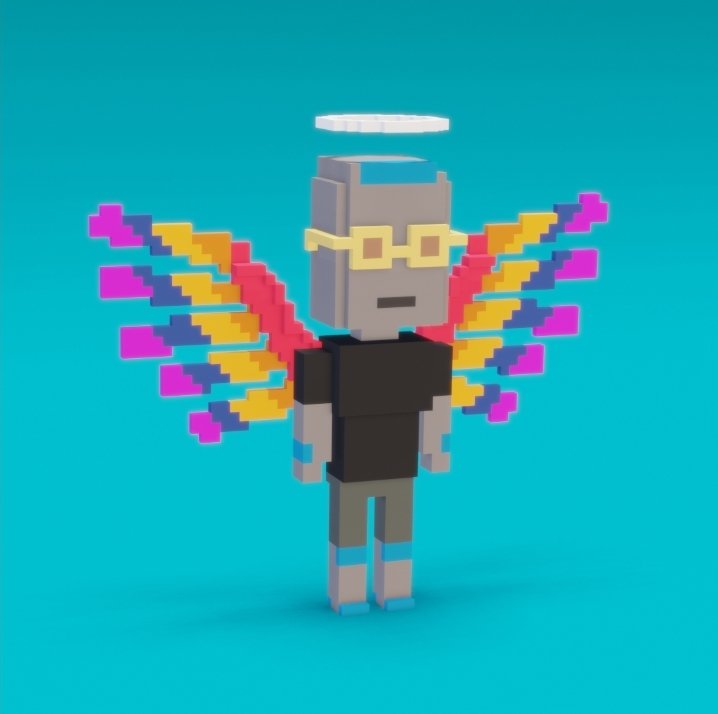 Winged Warriors tweet media