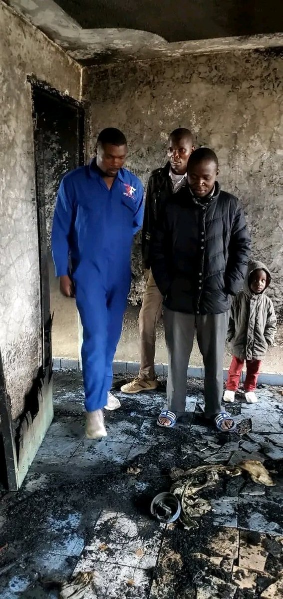 Hon.Ringo tweet media