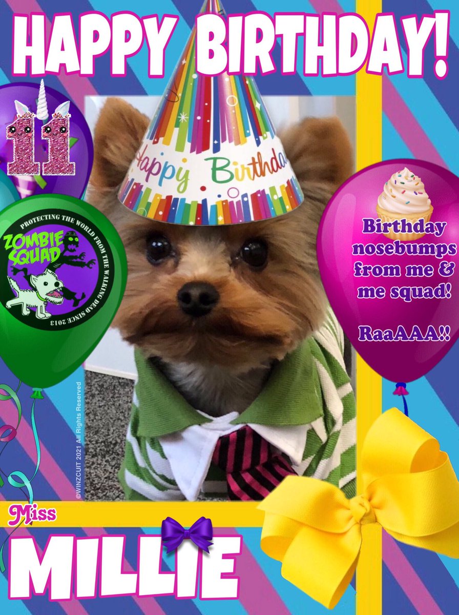 ZombieSquadHQ's tweet image. 🎂Wishing a very 🎁HAPPY 11th BIRTHDAY🎉 to our pawsome pal, MISS MILLIE from Leada Billy &amp;amp; your ZombieSquad pals. We hope your special day is full of tasty treats, belly rubs &amp;amp; cayke, soldyer. RaaAAA!!
❤️💛🎂🎁🎈🎉
@MillicentMarcy @ZSBirthday 
#ZSHQ
