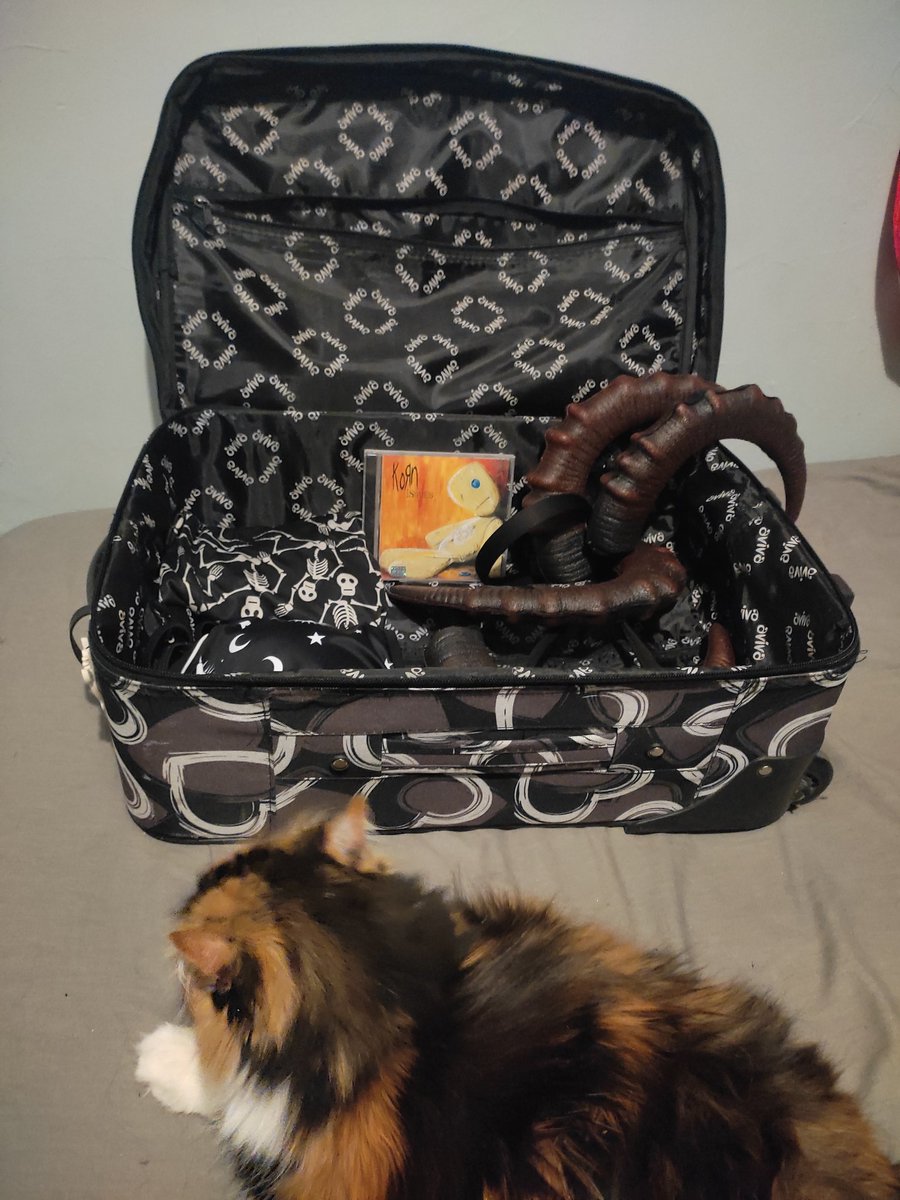 Ya toca hacer maleta de nuevo, y me anda ayudando la michi!
 <a href="/Korn/">Korn</a> ahí te voy! 🖤✨🖤✨