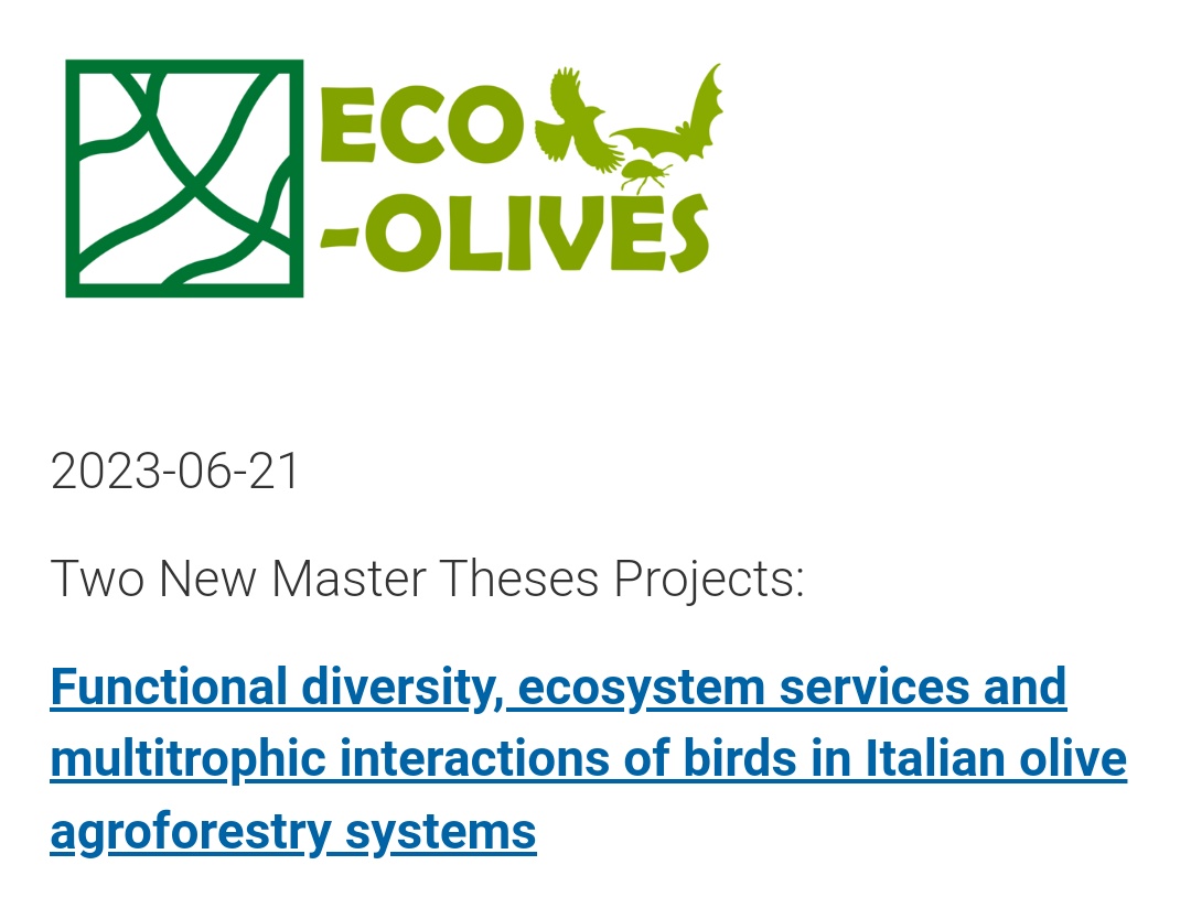 Bea Maas 🐦🦇🌳 tweet media