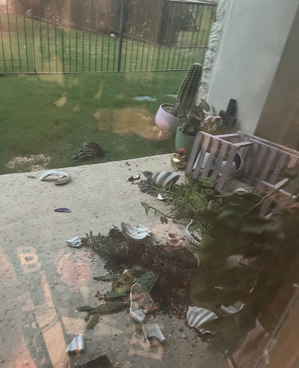 taylxr___'s tweet photo. 50-60 mph winds in austin out of nowhere… and yes i ran outside to try to save my plants 😭 https://t.co/uDoS4xcrV0