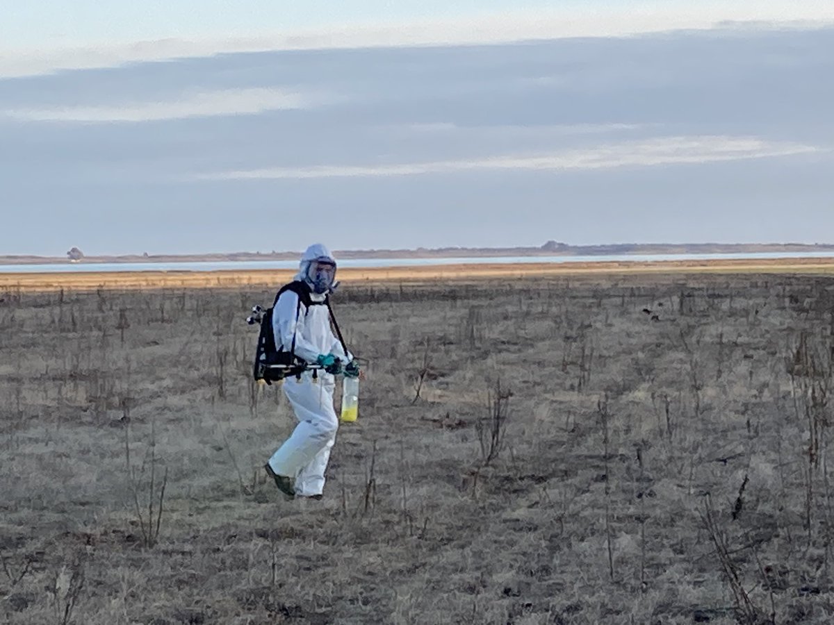 AnaErrazquin's tweet photo. Gracias @facu_cortese por tu experiencia y predisposición para concretar el ensayo de @Bayer4Crops @AgroBayerAR #Mateno
Y con la compañía de Rocco https://t.co/qMiIXB0FCv