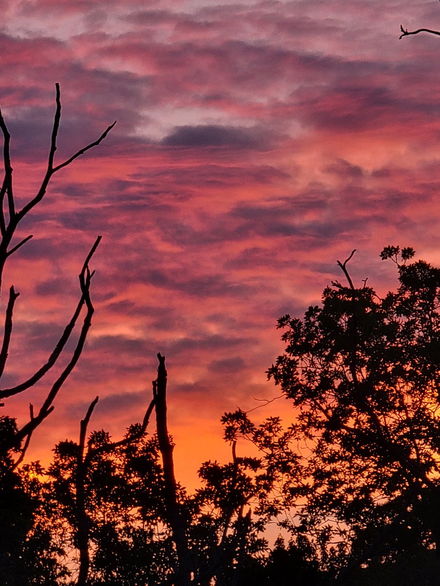 Pink sky tonight 💗 #NewJersey @ThePhotoHour #sunset #nature @StormHour #GoodVibesOnly