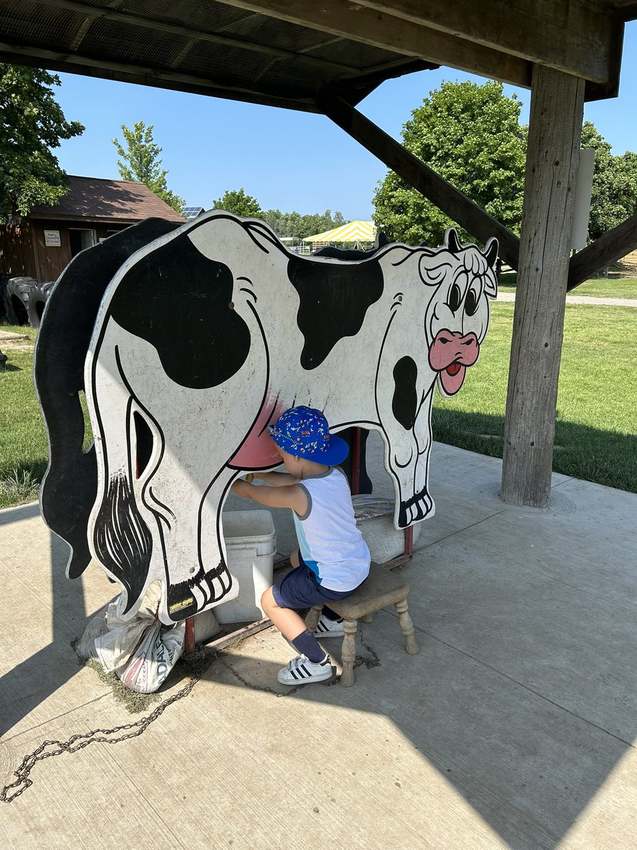 mslevyDPCDSB's tweet photo. We had a blast at Downey’s Farm yesterday! 🌻 @SetonWildcats https://t.co/kwy0LPni93