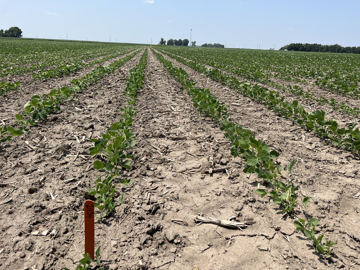 Riggs Ag Solutions, Inc. tweet media