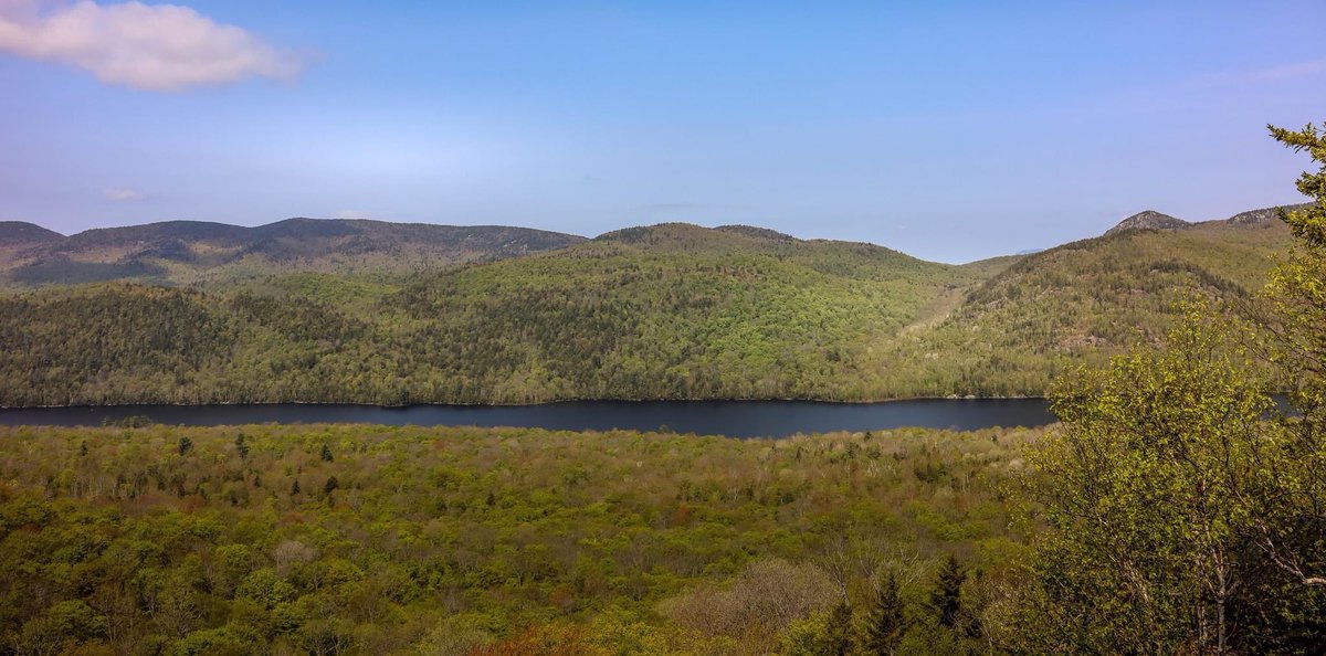 StephenLemieu15's tweet photo. #Adirondack #byespring #summer2023. Balm of Gilead, North River NY @adirondacknet @PureADK @adklifemag @adkexplorer @AdksUSA @AdkEnterprise @ADKattractions #adirondacks #Adirondacks @I_LOVE_NY @adirondack #upstateny #adirondack #mountains #photography @GarnetHillLodge https://t.co/eoohoV1r6y