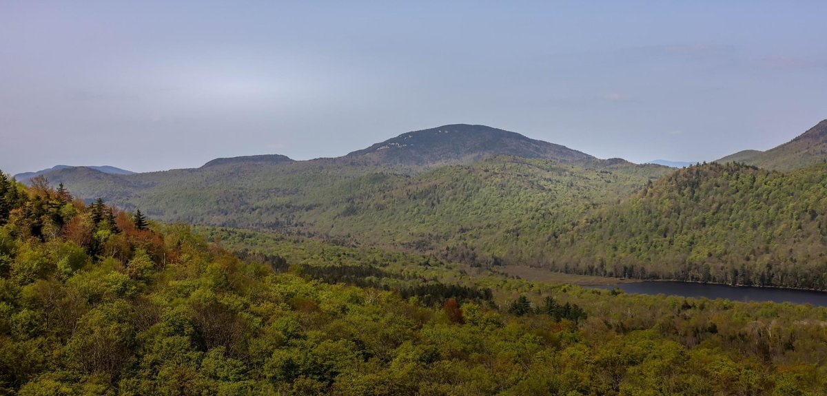 StephenLemieu15's tweet photo. #Adirondack #byespring #summer2023. Balm of Gilead, North River NY @adirondacknet @PureADK @adklifemag @adkexplorer @AdksUSA @AdkEnterprise @ADKattractions #adirondacks #Adirondacks @I_LOVE_NY @adirondack #upstateny #adirondack #mountains #photography @GarnetHillLodge https://t.co/JUCxnK6vE1