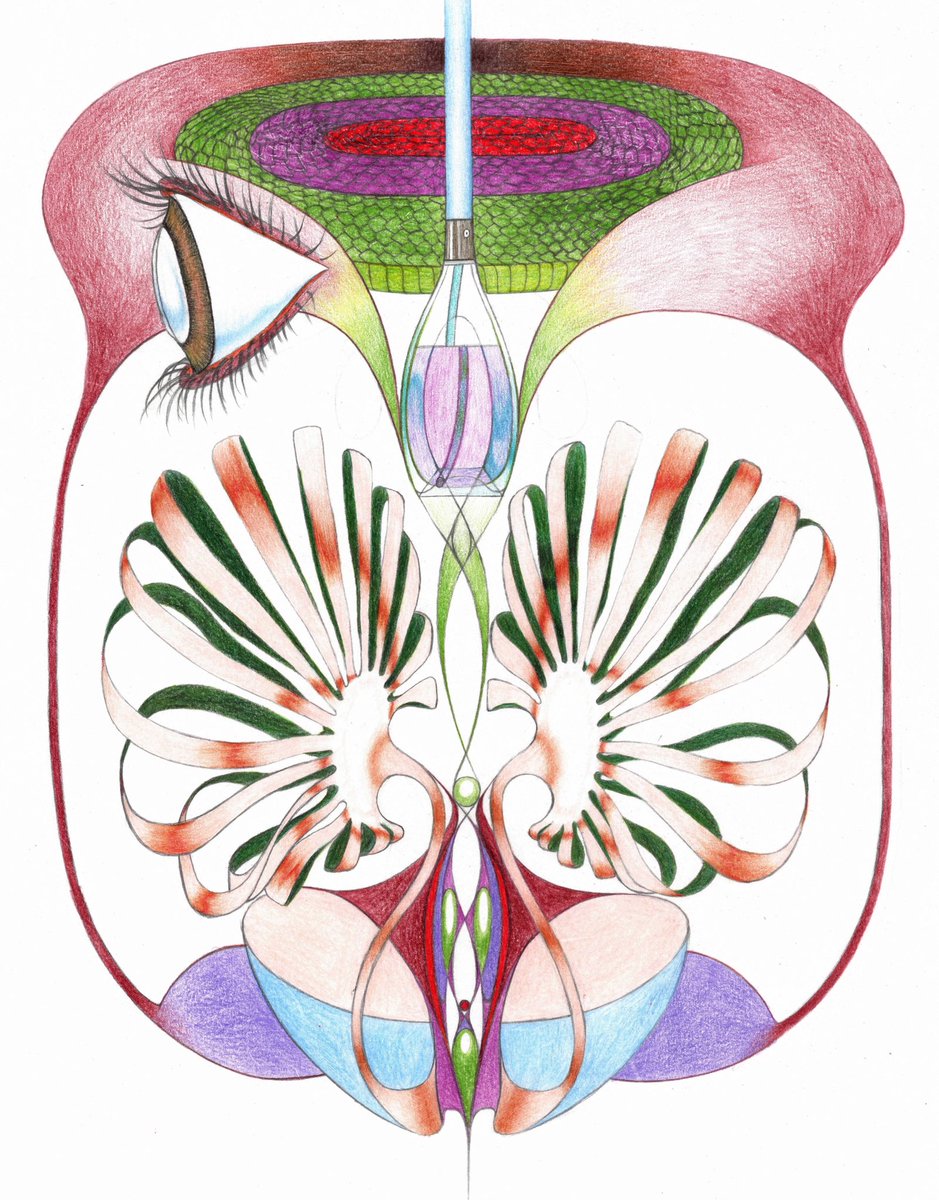 jamie___steele's tweet photo. Lung https://t.co/6UKDCSmeo7