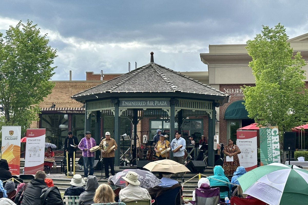 Amanda Affonso tweet media